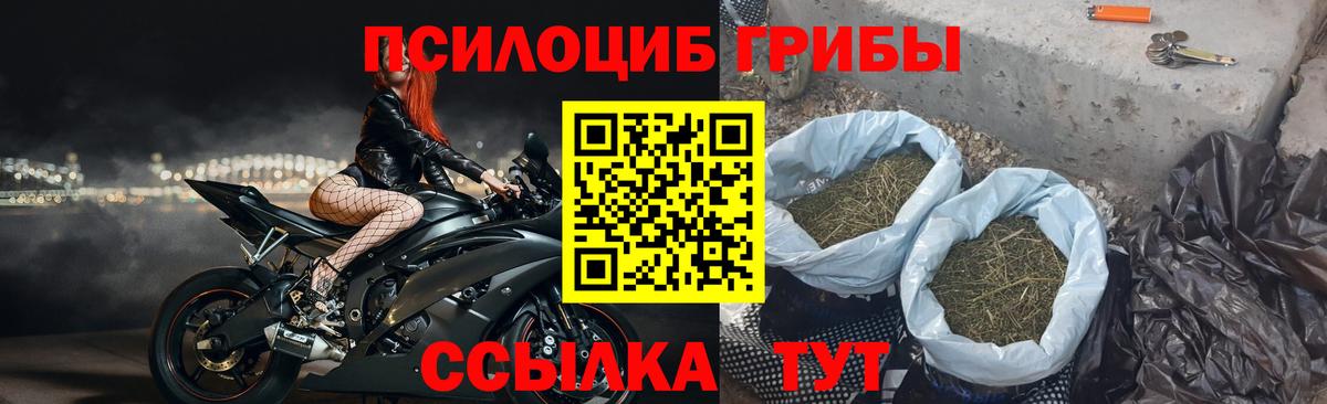 цены   Галлюциногенные грибы мухоморы  Вход с VPN  Осинники 